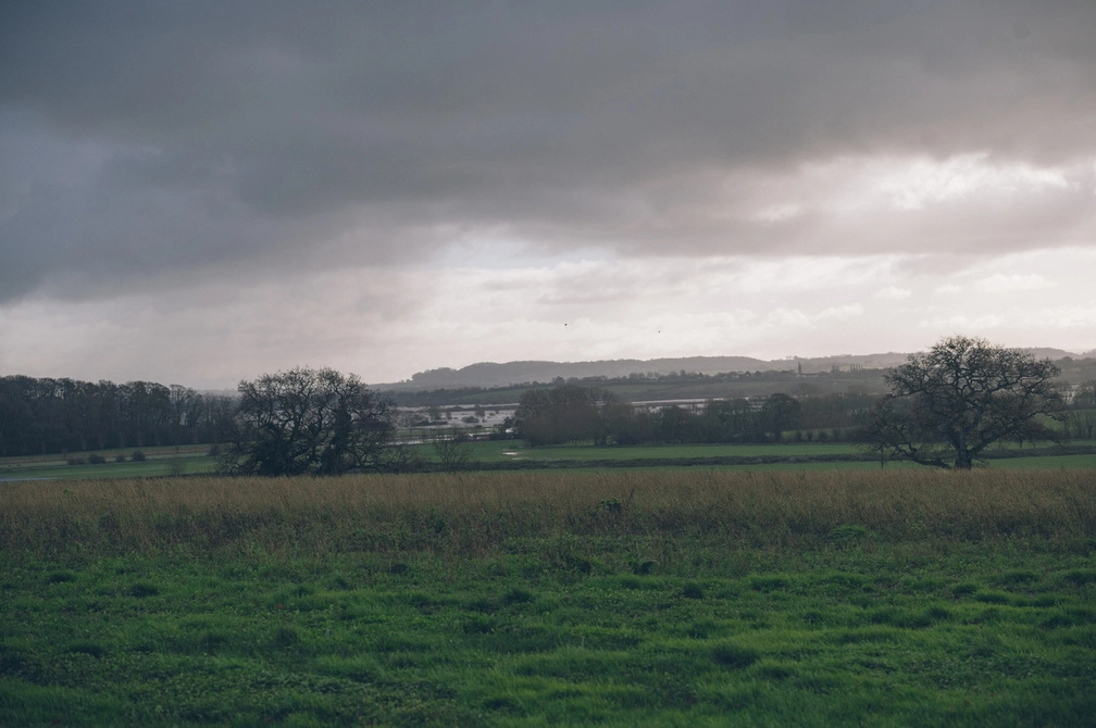 Landscape image of grassland